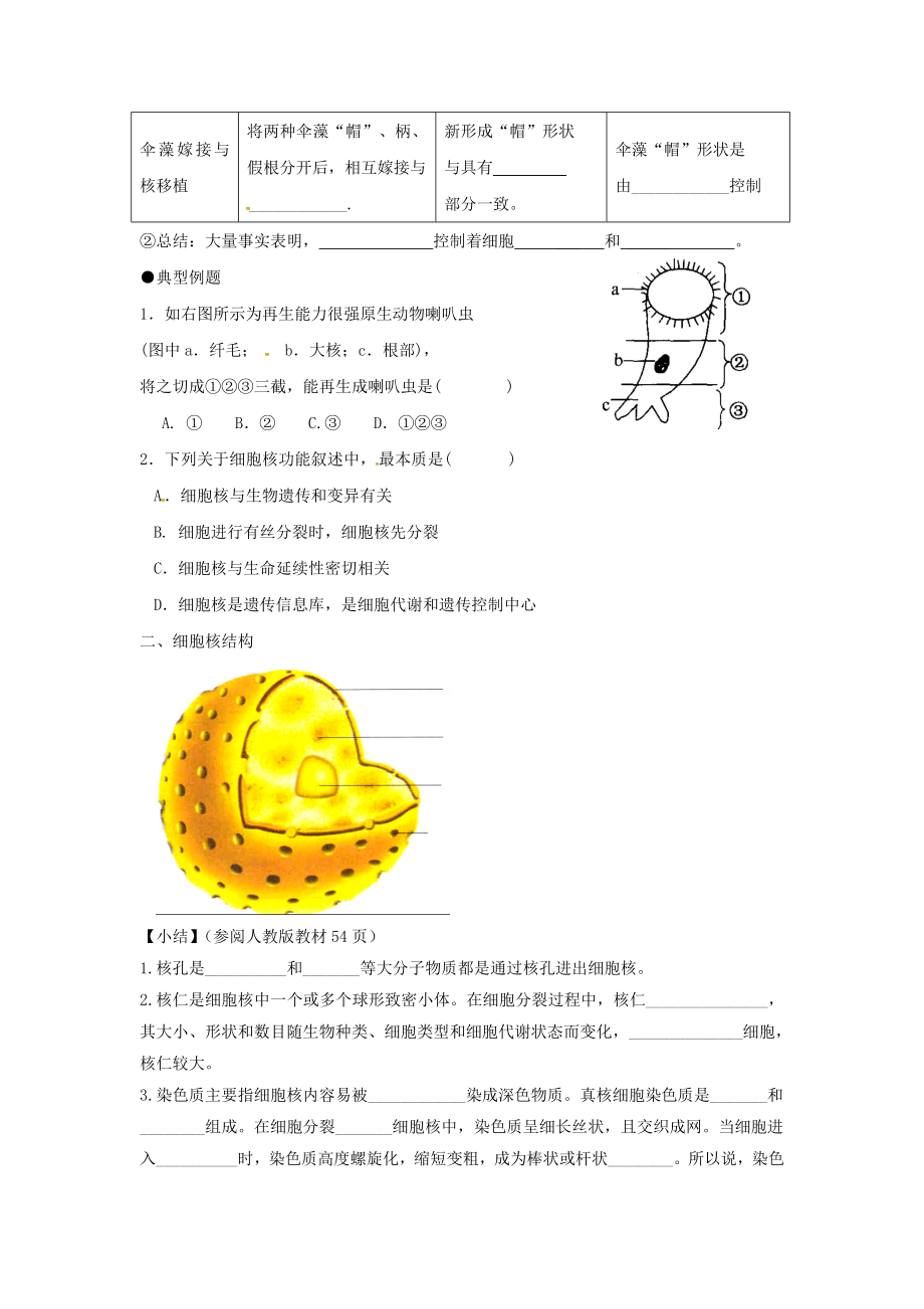 高中生物第三章细胞的基本结构33细胞核系统的控制中心学案2新人教版必修1.docx_第2页