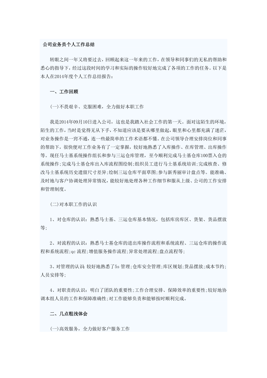 公司业务员个人工作总结.doc_第1页