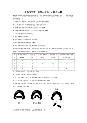 新高考生物一轮复习练习卷：酶与ATP.docx