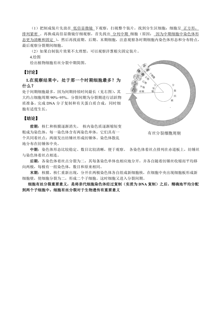 实验报告观察根尖分生组织细胞的有丝分裂.doc_第2页