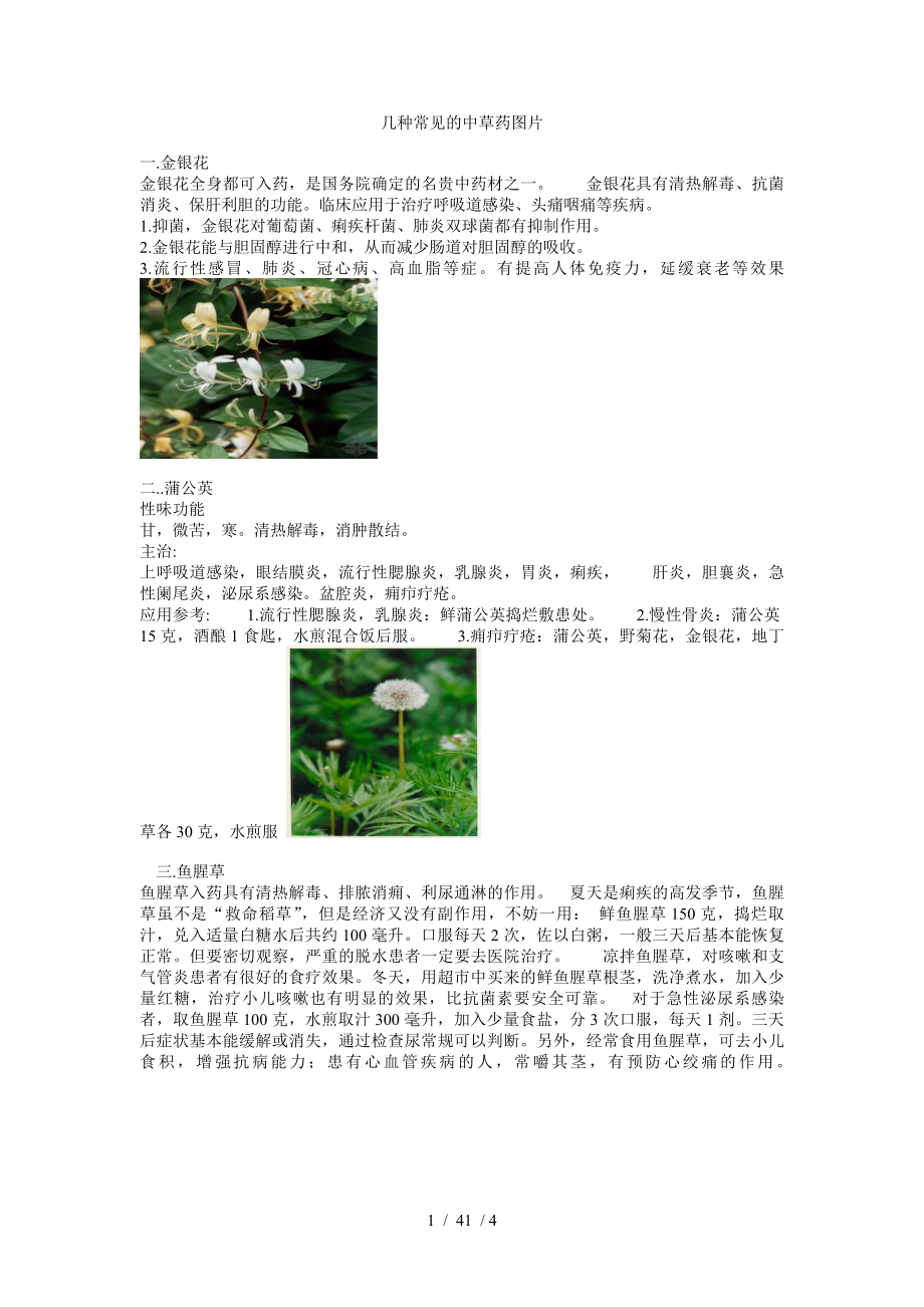 几种常见的中草药图片.docx_第1页