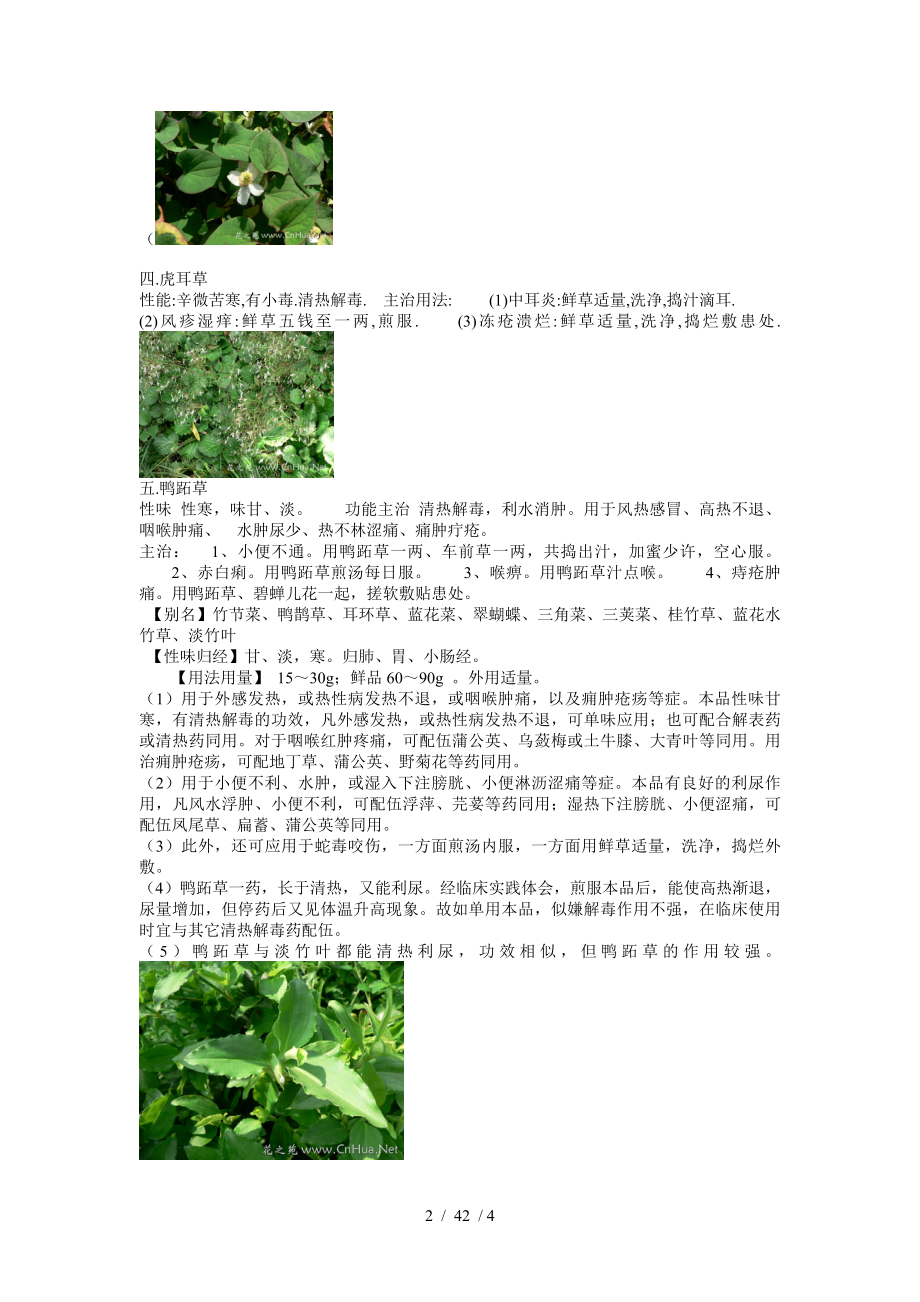 几种常见的中草药图片.docx_第2页