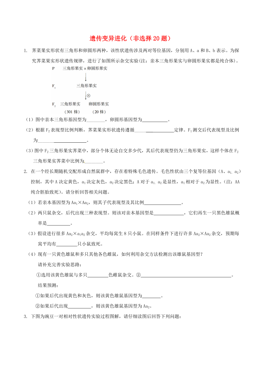 高考生物命题规律与专题诊断遗传变异进化非选择题.docx_第1页