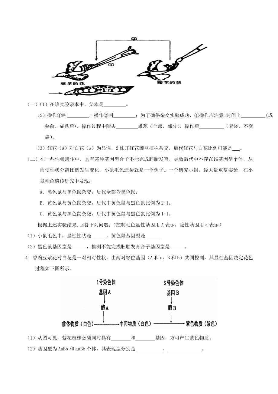 高考生物命题规律与专题诊断遗传变异进化非选择题.docx_第2页