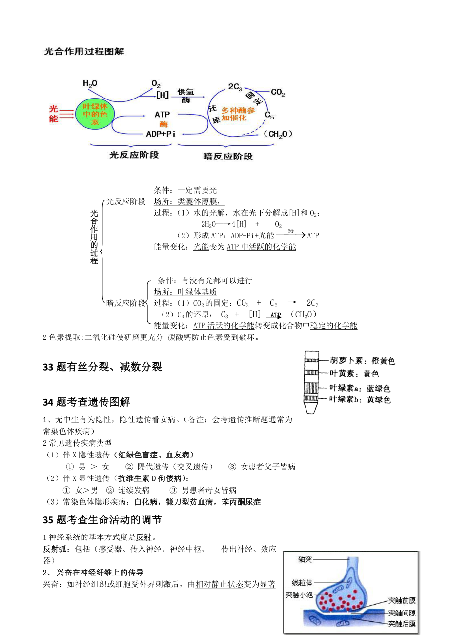 会考生物大题知识点.doc_第2页