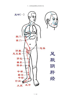 十二经络高清图包含经络穴位.docx