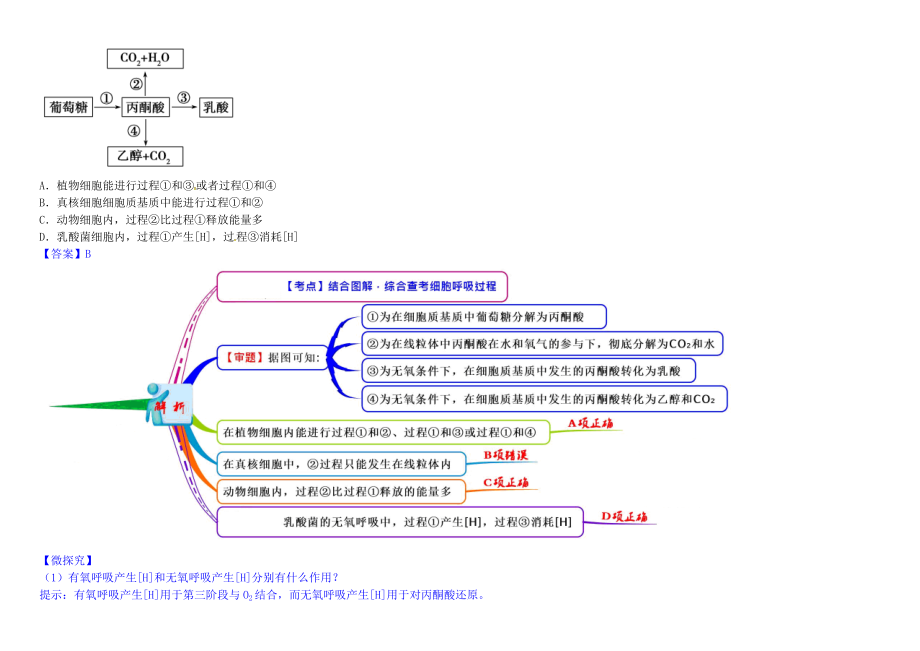 高中生物153细胞呼吸教材图解学案新人教版必修1.docx_第2页