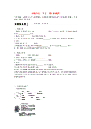 高考生物大一轮复习第四单元细胞的分化学案.docx