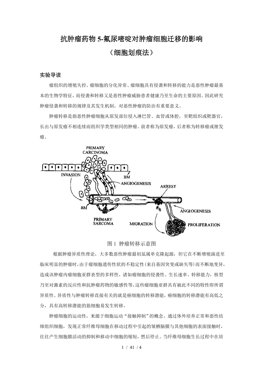 肿瘤细胞迁移实验细胞划痕法讲义.docx_第1页