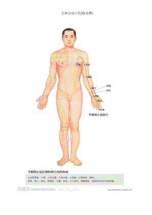 全身经络示范图(免费).docx