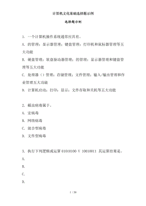 计算机文化基础选择题示例.docx