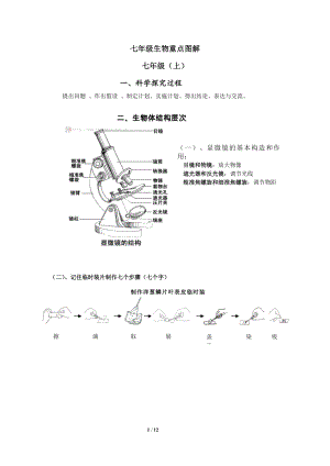 七年级生物重点图解.doc