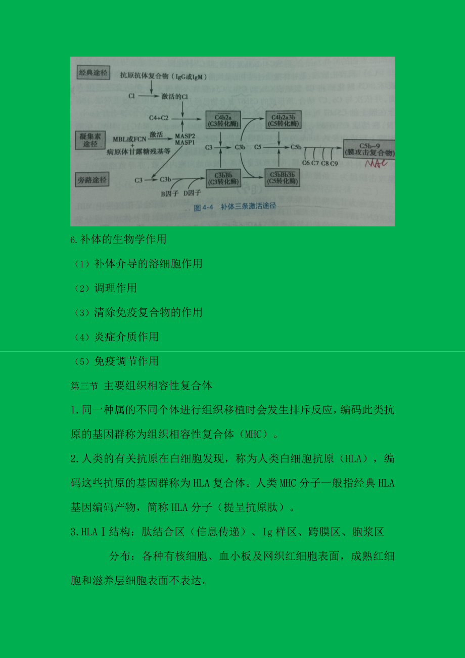 免疫学基础与病原生物学重点总结.docx_第2页