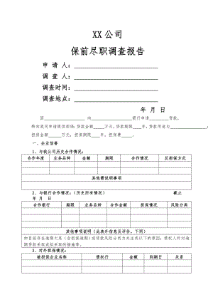 担保公司保前调查报告.doc