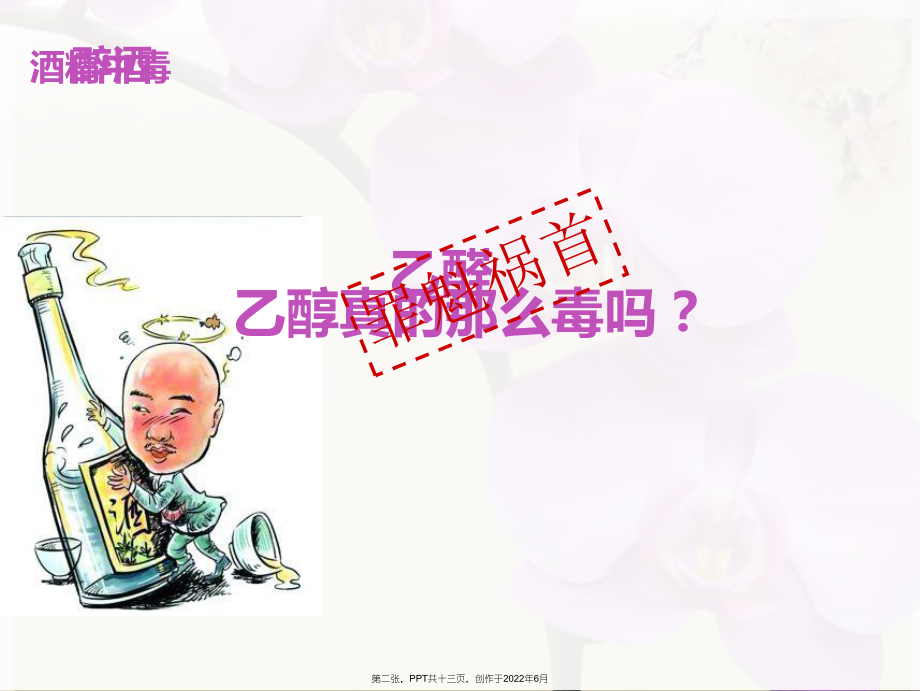 乙醇氧化反应.ppt_第2页