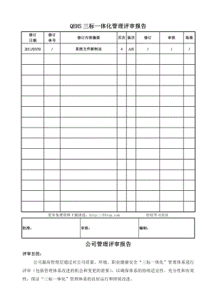 QEHS三标一体化管理评审报告.doc