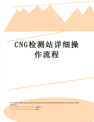 最新CNG检测站详细操作流程.docx