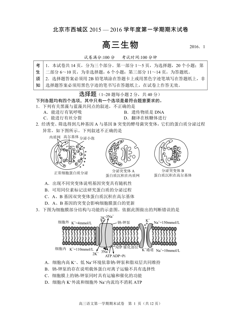 北京市西城区2015 — 2016学年度第一学期期末生物试卷.doc_第1页