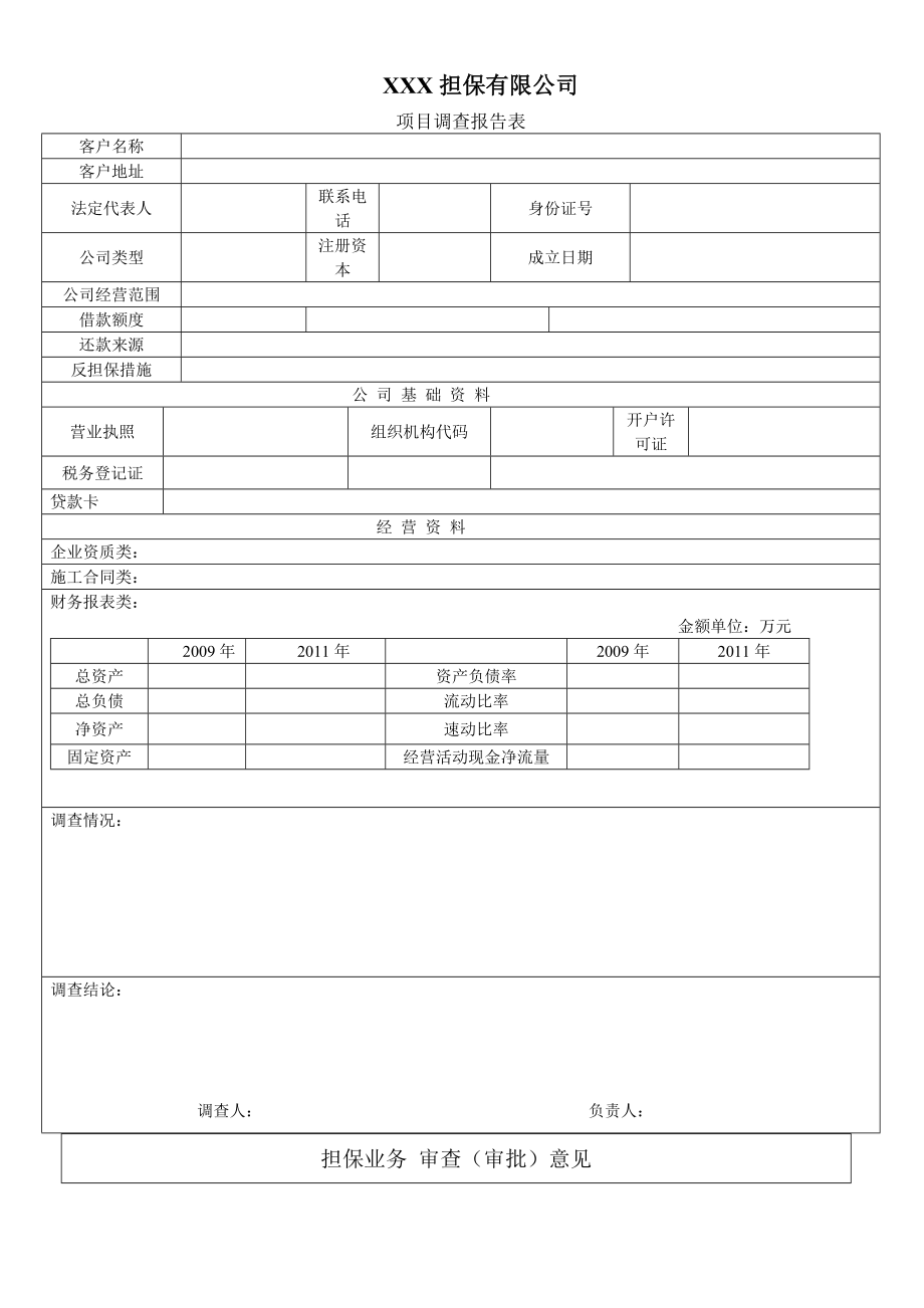 担保公司项目调查报告表.doc_第1页