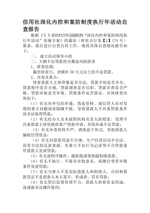 信用社深化内控和案防制度执行年活动自查报告.docx