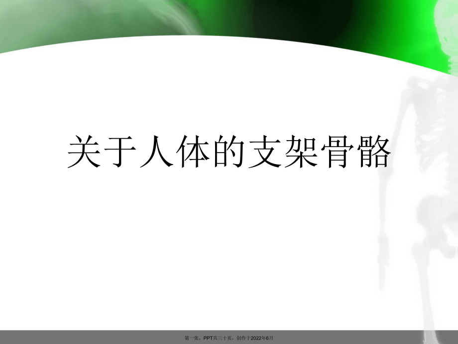 人体支架骨骼.ppt_第1页