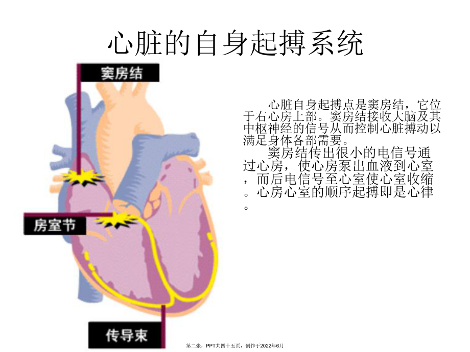 人工心脏起搏器护理以及健康指导.ppt_第2页