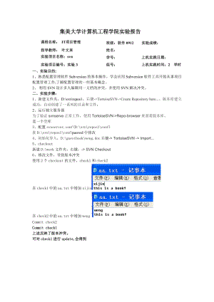 IT项目管理实验三实验报告.doc