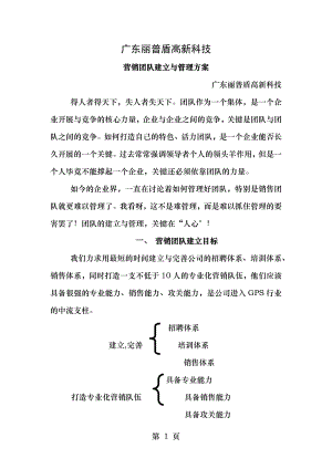 营销团队建设与管理.docx