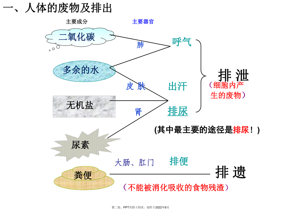 人体内废物排出(7).ppt_第2页