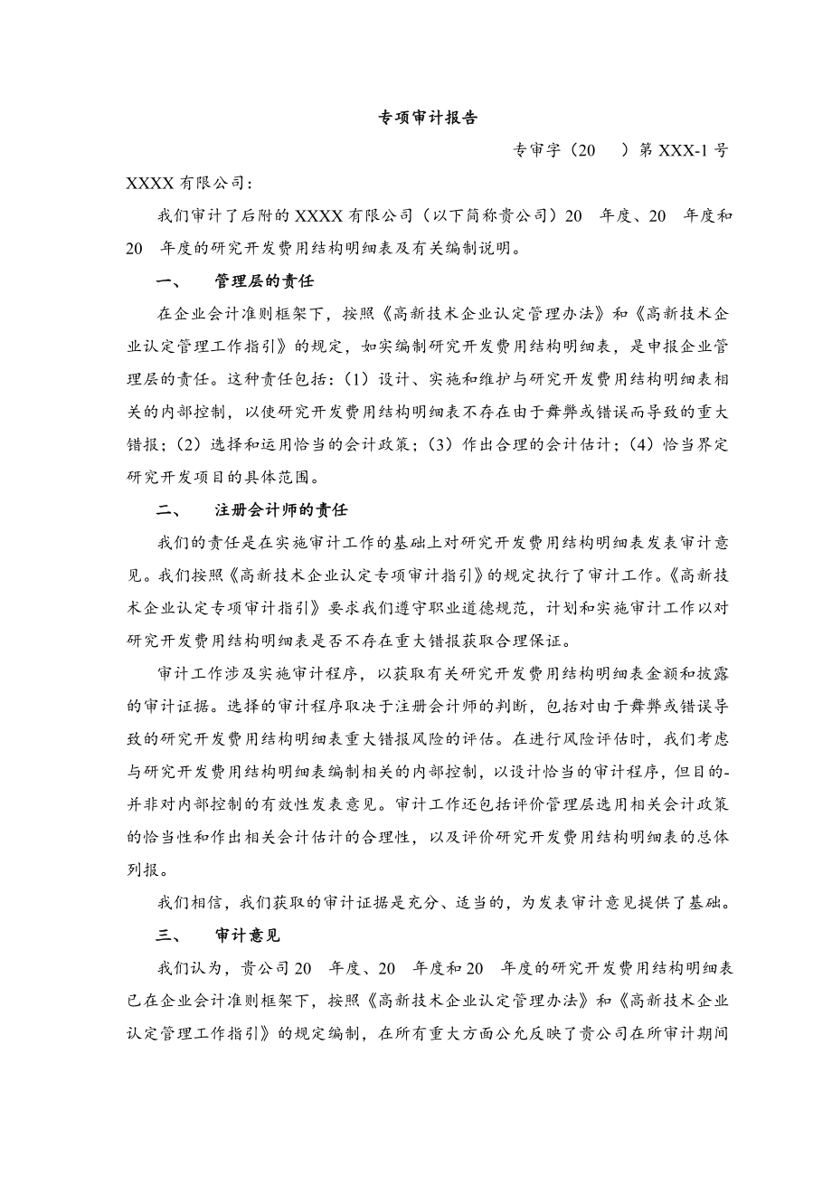 专项审计报告研发.doc_第2页