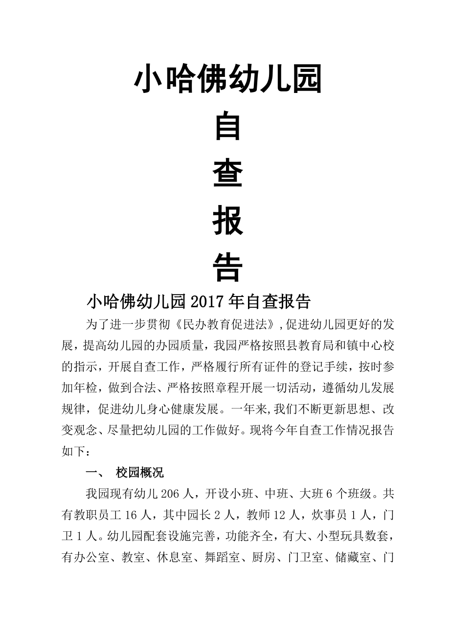 2017年检自查报告.doc_第1页