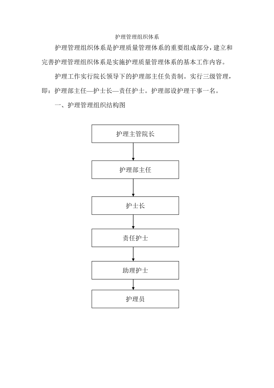 护理管理组织体系.doc_第1页