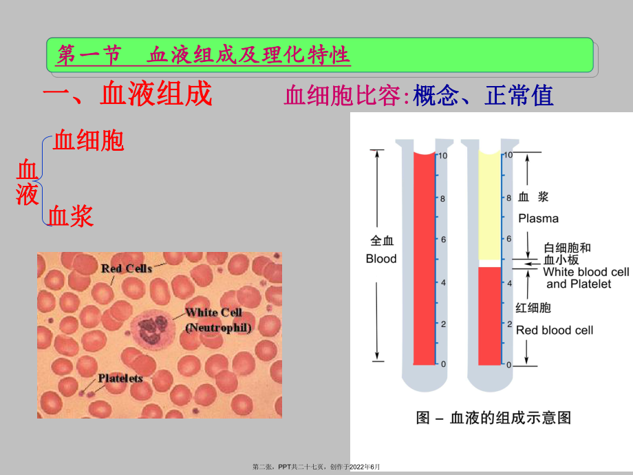 人体解剖生理学血液组成和功能.ppt_第2页