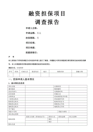 担保公司融资担保项目报告模板.doc