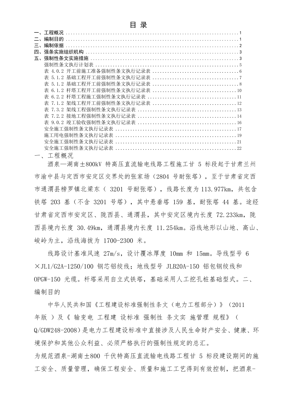 新版强条执行计划.doc_第1页