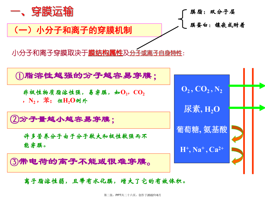 之细胞膜物质运输.ppt_第2页