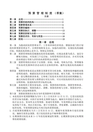 医院预算管理制度草案.docx