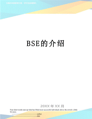 最新BSE的介绍.doc