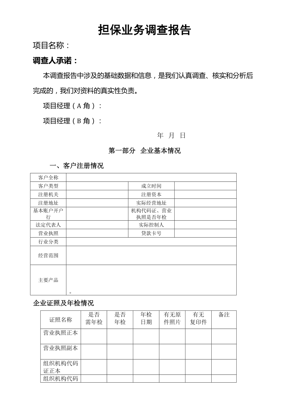 担保调查报告.doc_第1页