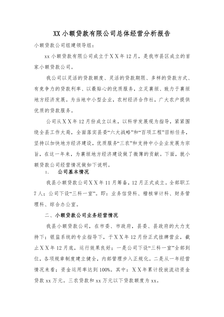 小额贷款有限公司总体经营分析报告.doc_第1页