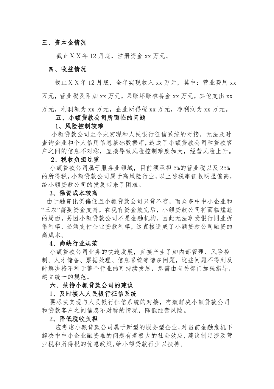 小额贷款有限公司总体经营分析报告.doc_第2页