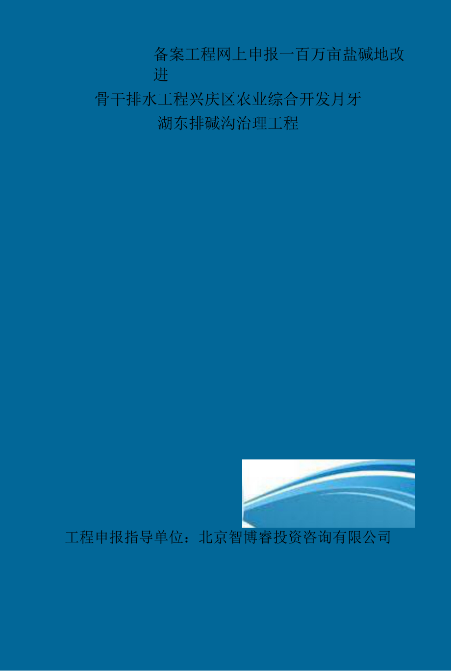 精选备案项目网上申报-百万亩盐碱地改良骨干排水工程兴庆区农业综合开发月牙湖东排碱沟治理项目(申报大纲).docx_第2页