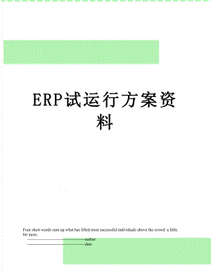 最新ERP试运行方案资料.doc