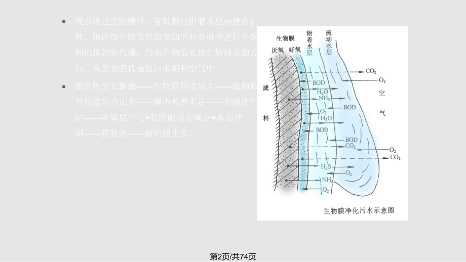 生物膜法原理与应用.pptx_第2页