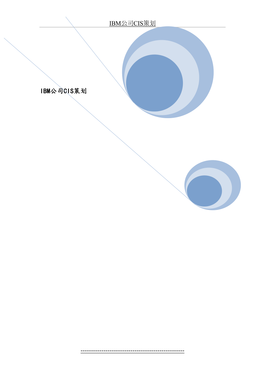 最新IBM公司CIS策划.doc_第2页