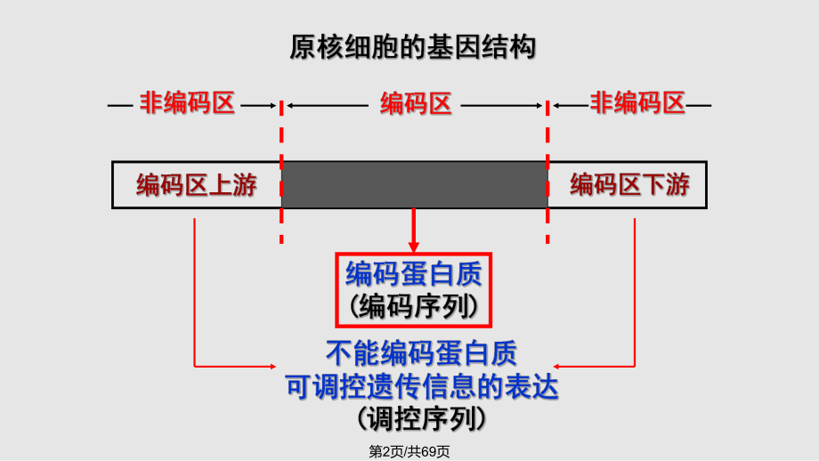 生物选修基因工程知识点归纳详实.pptx_第2页