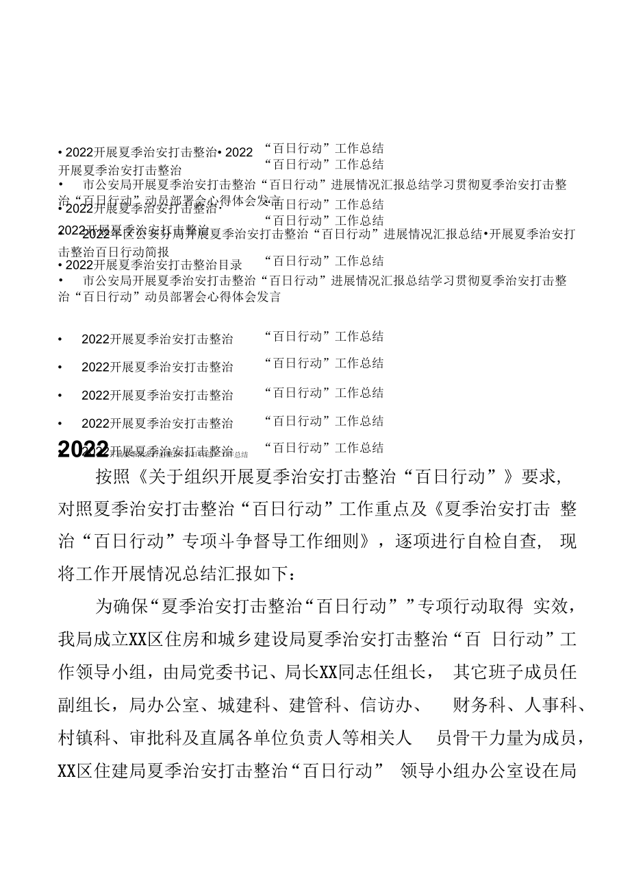 2022开展夏季治安打击整治“百日行动”工作总结汇编.docx_第1页