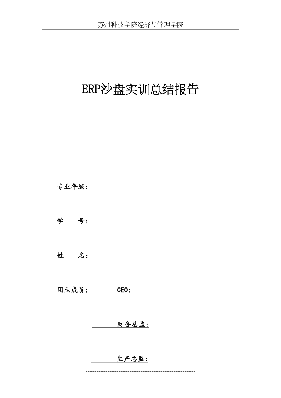 最新ERP沙盘实训营销总监总结报告.doc_第2页