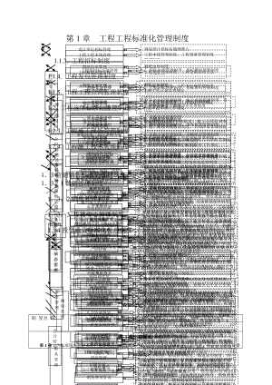 工程项目规范化管理制度.docx