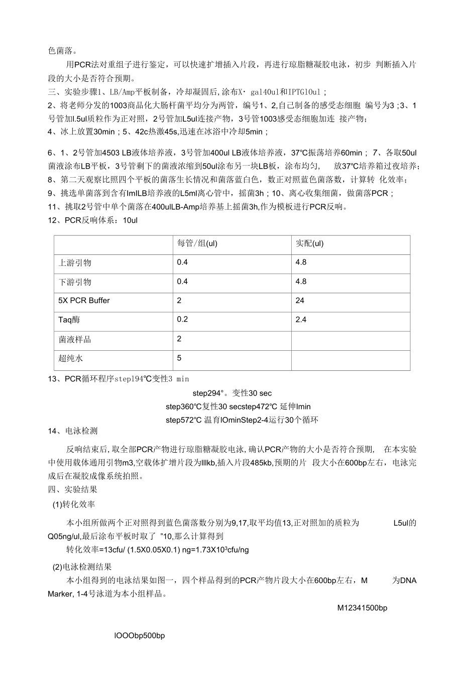 基因克隆.docx_第2页